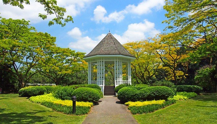 Singapore Botanic Gardens: A Natural Oasis of Tranquility and Biodiversity